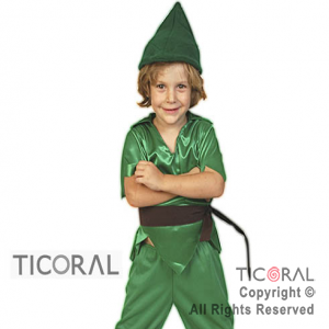 DISFRAZ DUENDE VERDE NI�O CAND TALLE 1 x 1